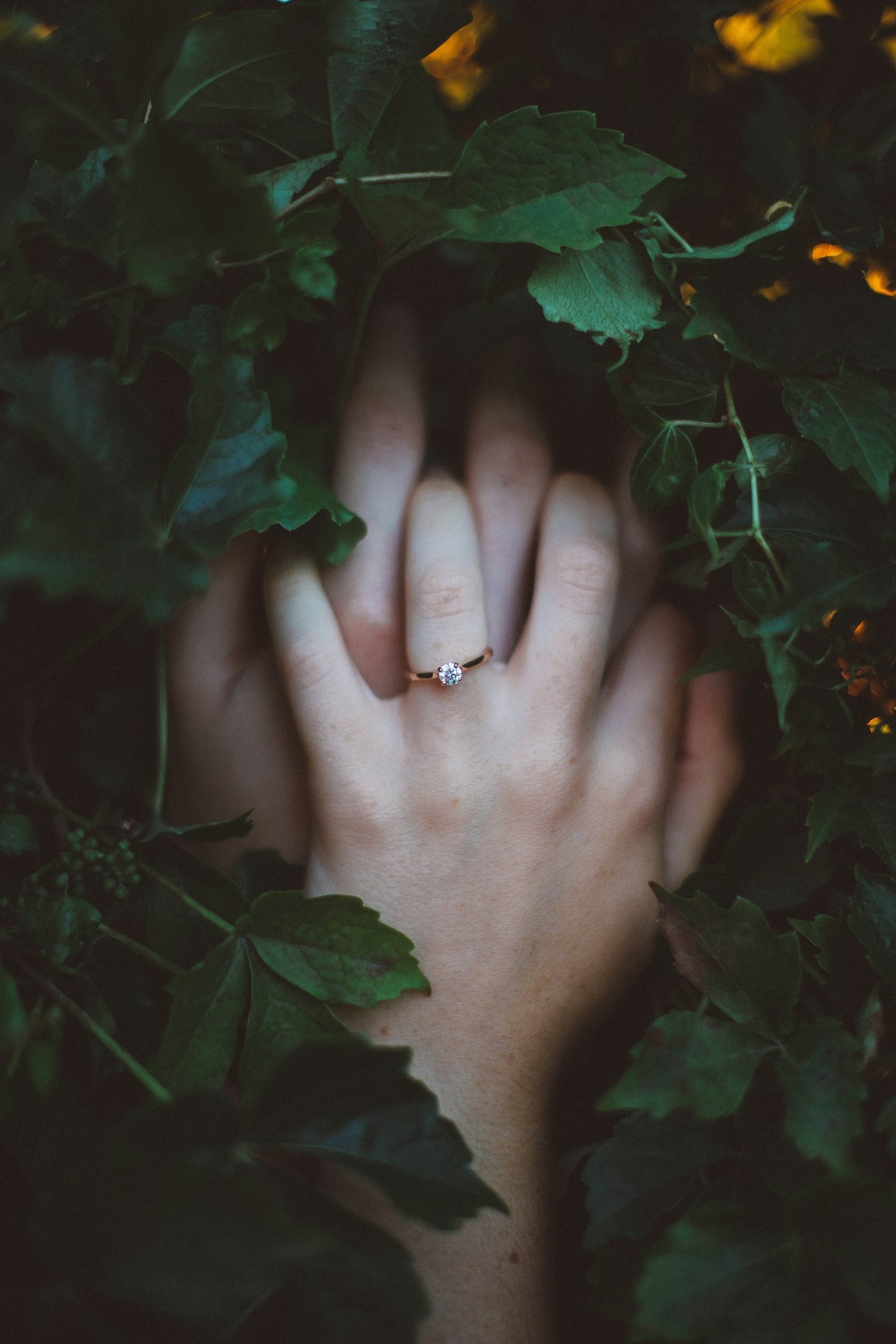 From Chat to Commitment: Success Stories on Friendtext